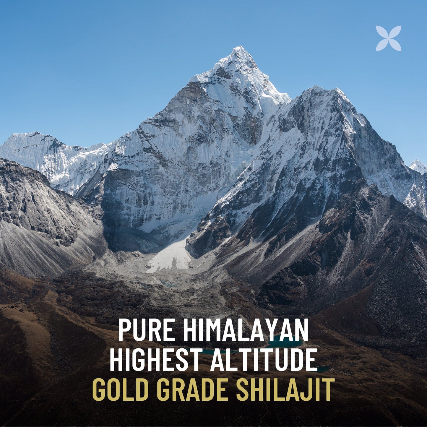 Extractive - Pure Gold-Grade Sun-Dried and 70+ Day Aged Shilajit - 25G