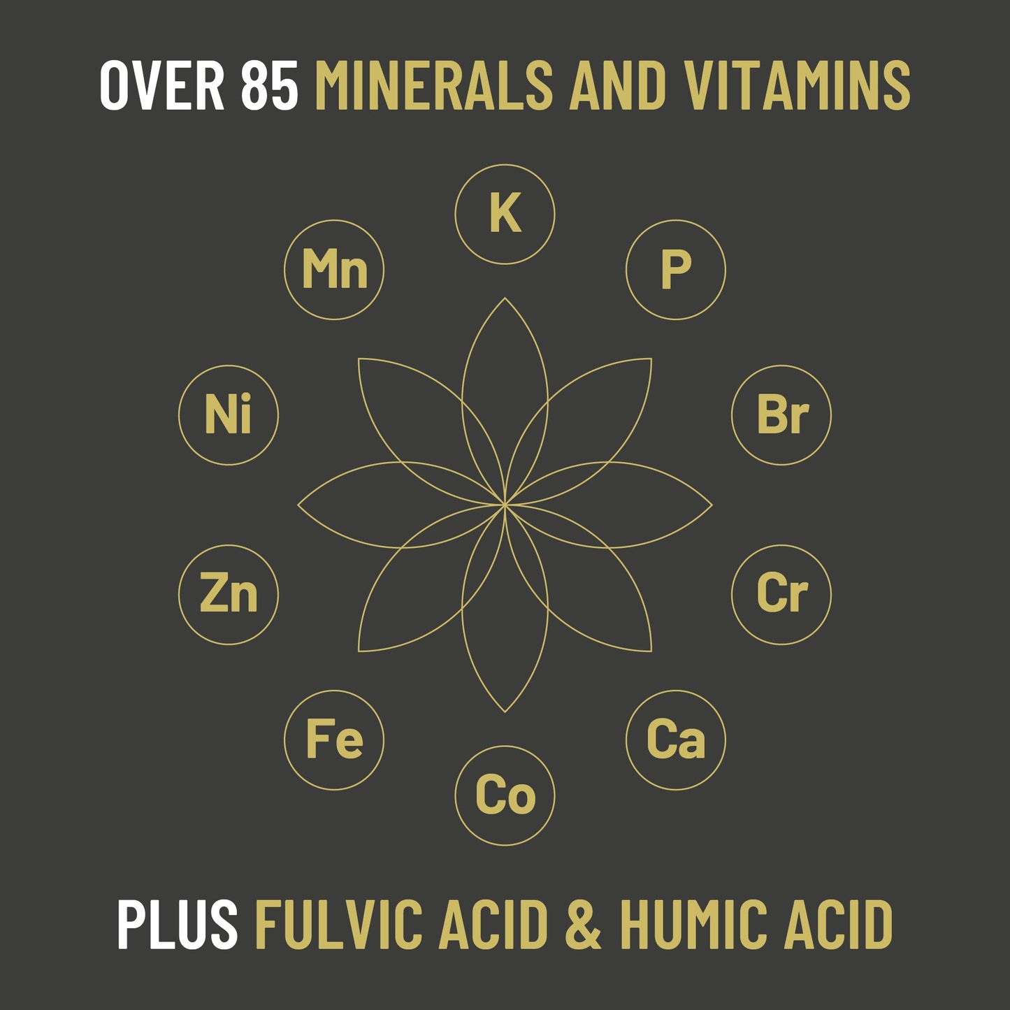 Extractive - Pure Gold-Grade Sun-Dried and 70+ Day Aged Shilajit - 25G