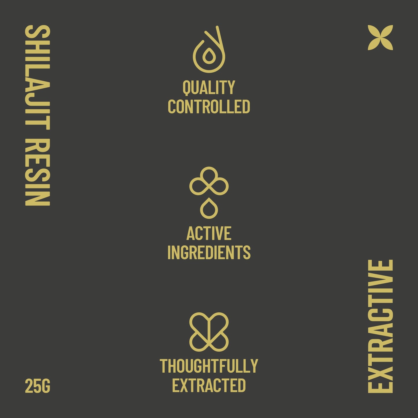 Extractive - Pure Gold-Grade Sun-Dried and 70+ Day Aged Shilajit - 25G