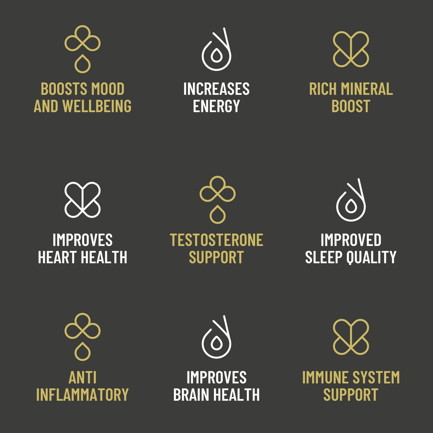 Extractive - Pure Gold-Grade Sun-Dried and 70+ Day Aged Shilajit - 25G