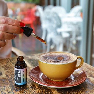 Reishi Mushroom Extract | Liquid Drops for Calm + Sleep