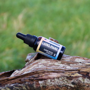 Lions Mane Mushroom Extract | Liquid Drops for Focus & Clarity