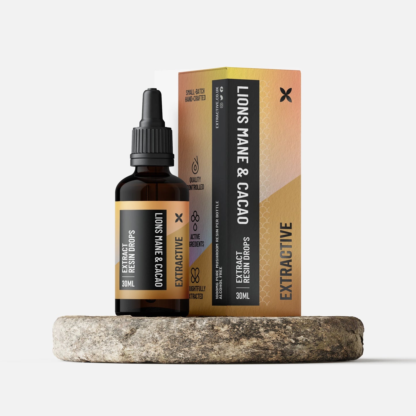 Lions Mane & Cacao Mushroom Extract | Liquid Drops for Focus & Mood